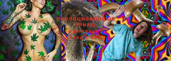 молекула духа Нея