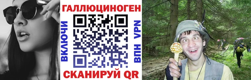 наркошоп  Тулун  Псилоцибиновые грибы мухоморы 