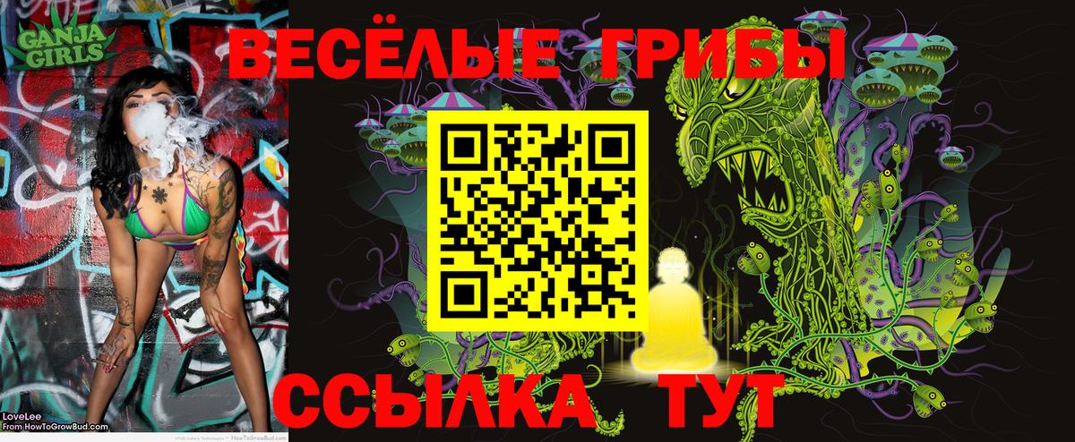 Галлюциногенные грибы GOLDEN TEACHER  Тулун 