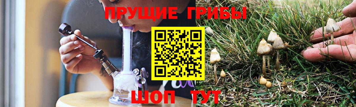 Псилоцибиновые грибы GOLDEN TEACHER Тулун