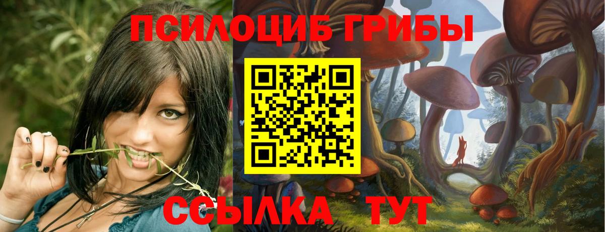 Галлюциногенные грибы Cubensis  Вход с VPN  Галлюциногенные грибы Psilocybine cubensis  Тулун 